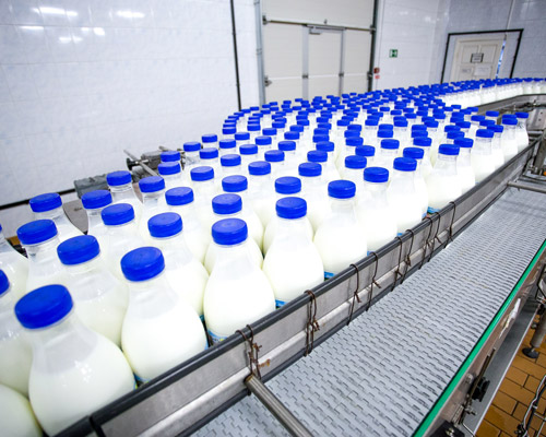 Fluid Milk Dairy Packaging Integration
