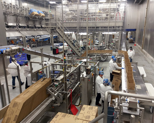 Michigan Dairy Packaging Line Audit Assessment