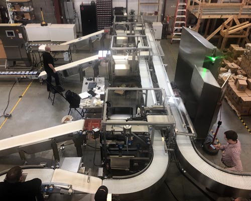 Robotic Case Packer Packaging Conveyor Systems Integrator